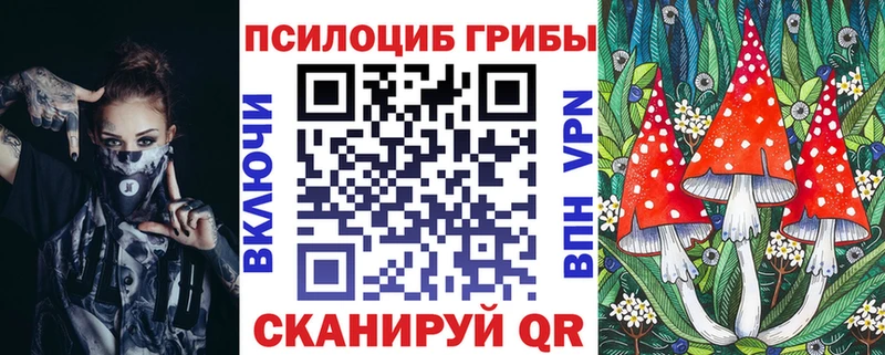 купить   Пудож  OMG ССЫЛКА  Псилоцибиновые грибы MAGIC MUSHROOMS 