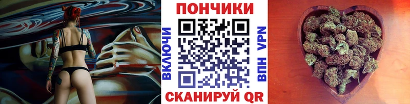 Конопля гибрид  Пудож 